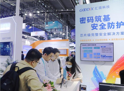 硬核守護(hù)信息安全 匯頂科技芯片級(jí)創(chuàng)新安全方案亮相高交會(huì)，護(hù)航金融信息技術(shù)外包
