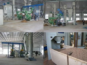 單臺(tái)生物質(zhì)顆粒燃料機(jī)是不是產(chǎn)能越多越好